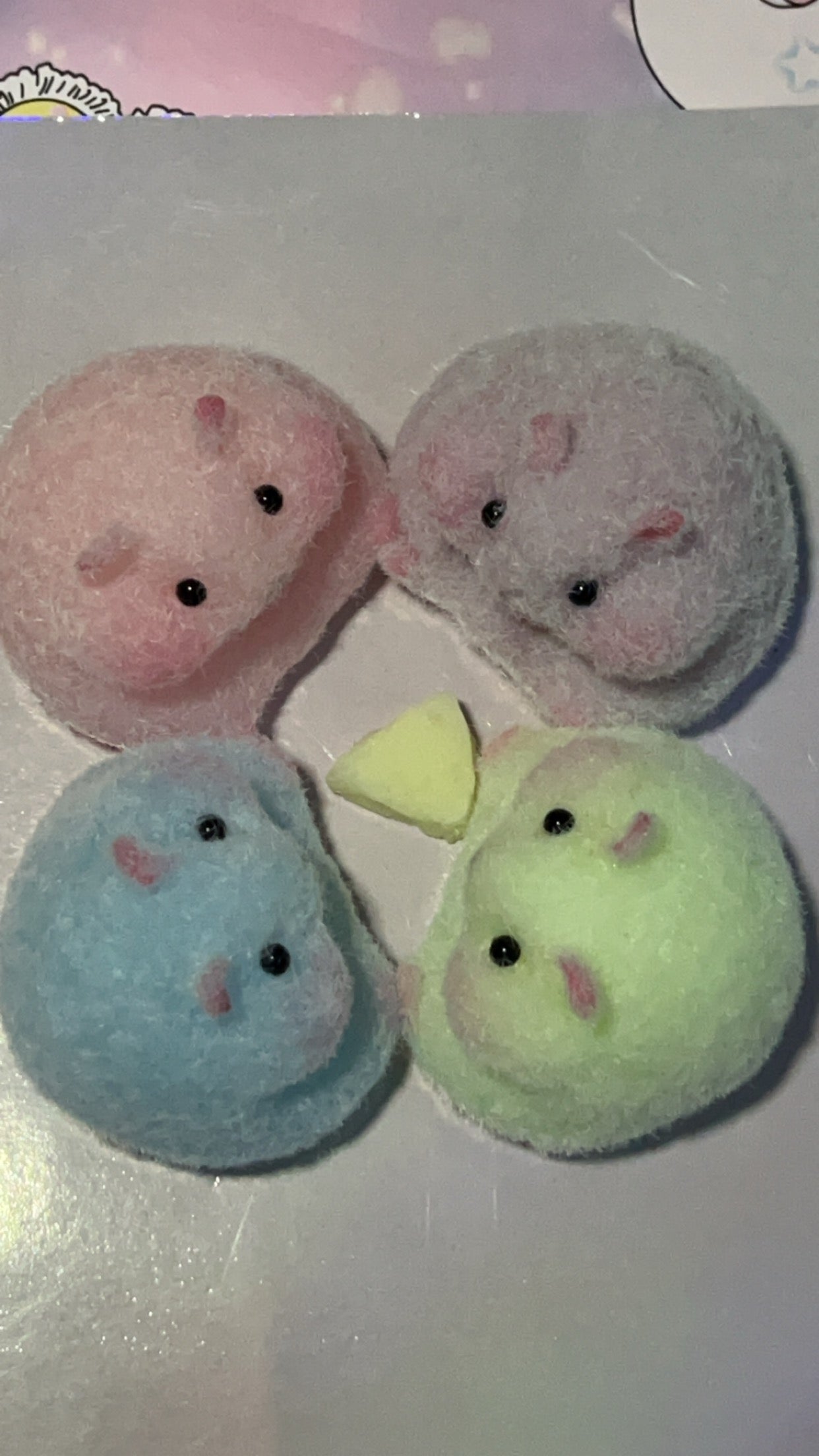 Baby hamsters new colors (order message on TK the color you want)