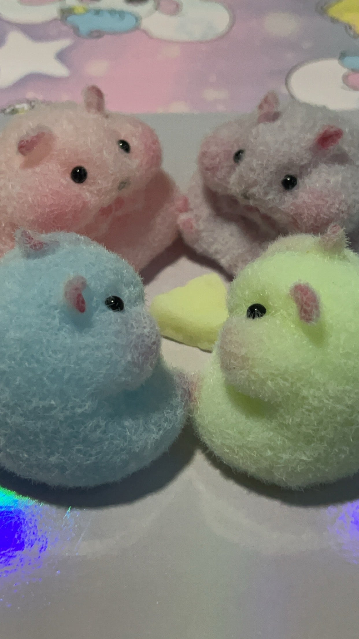 Baby hamsters new colors (order message on TK the color you want)